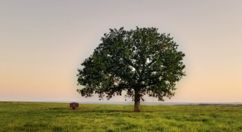 肩負重擔 推動我國經(jīng)濟、社會<br>環(huán)境全面協(xié)調(diào)可持續(xù)發(fā)展